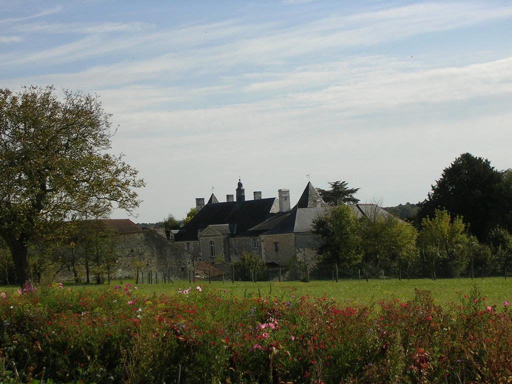 Chateau De La Noblaye Panzió Lemere Kültér fotó